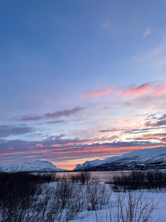 Modern Apartment Nearby City Centrum Tromso Luaran gambar