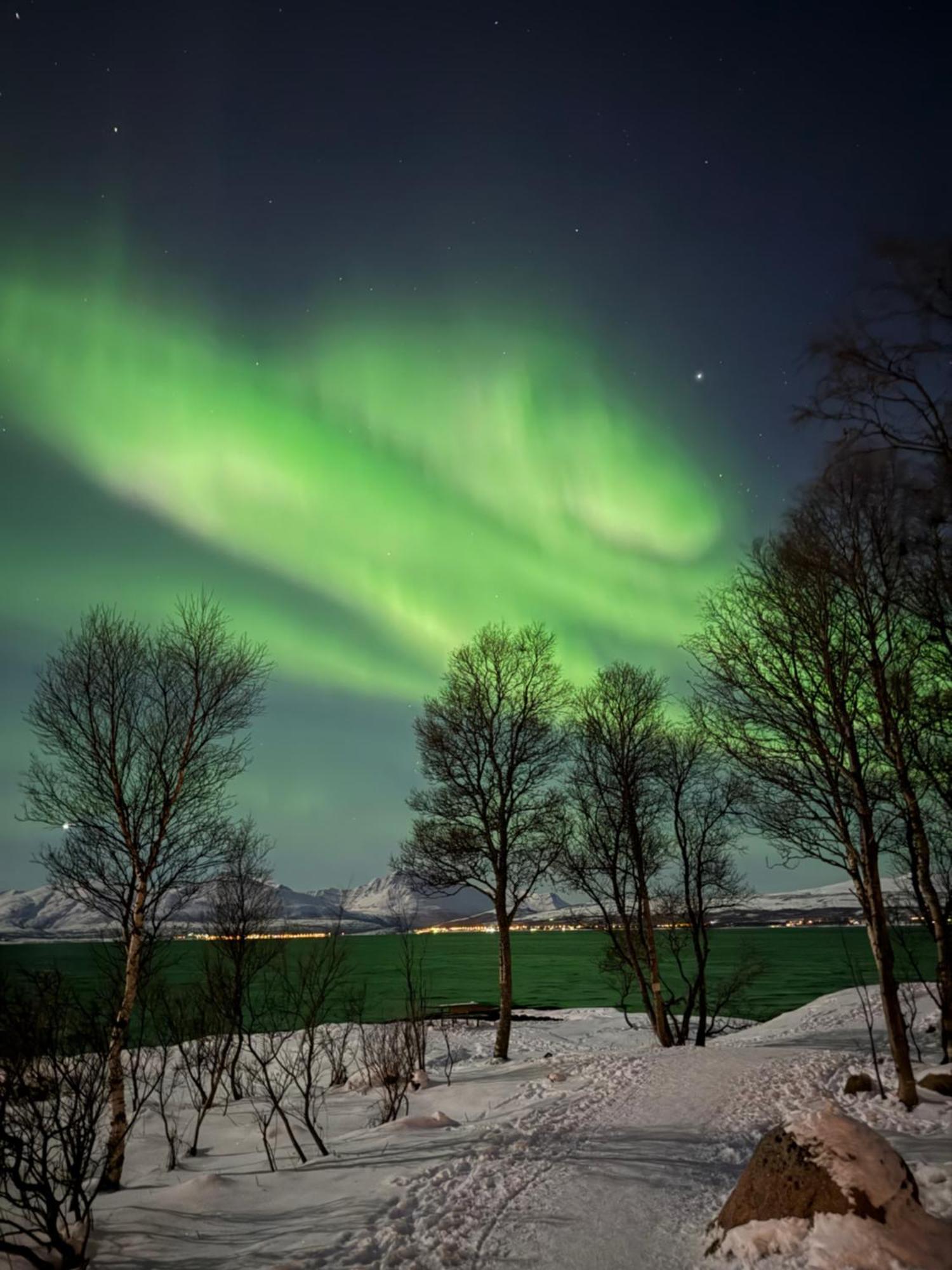 Modern Apartment Nearby City Centrum Tromso Luaran gambar